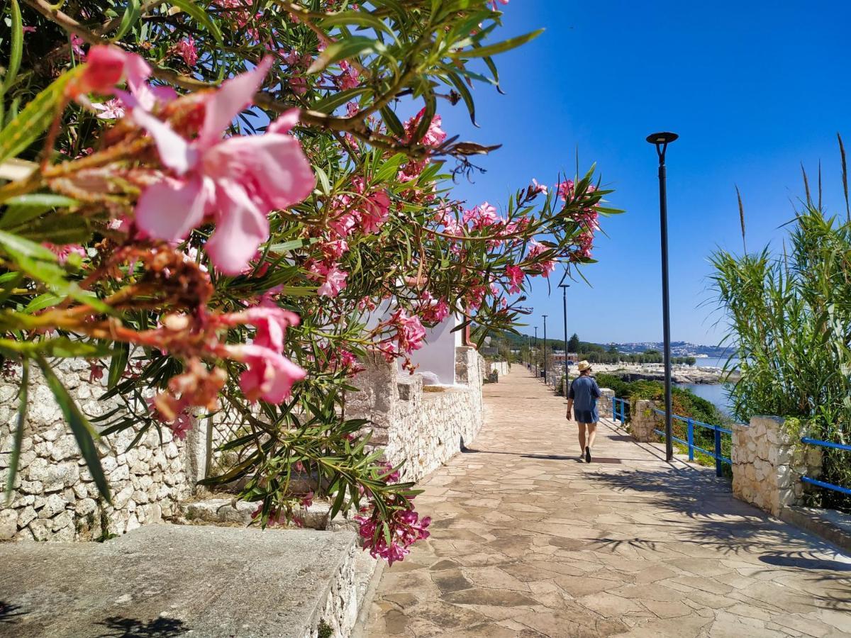 Marina Di Andrano - Alisso, Casa Vista Mare Con Parcheggio Privato E Wifi Villa Екстериор снимка