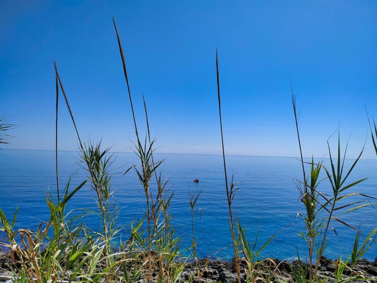 Marina Di Andrano - Alisso, Casa Vista Mare Con Parcheggio Privato E Wifi Villa Екстериор снимка
