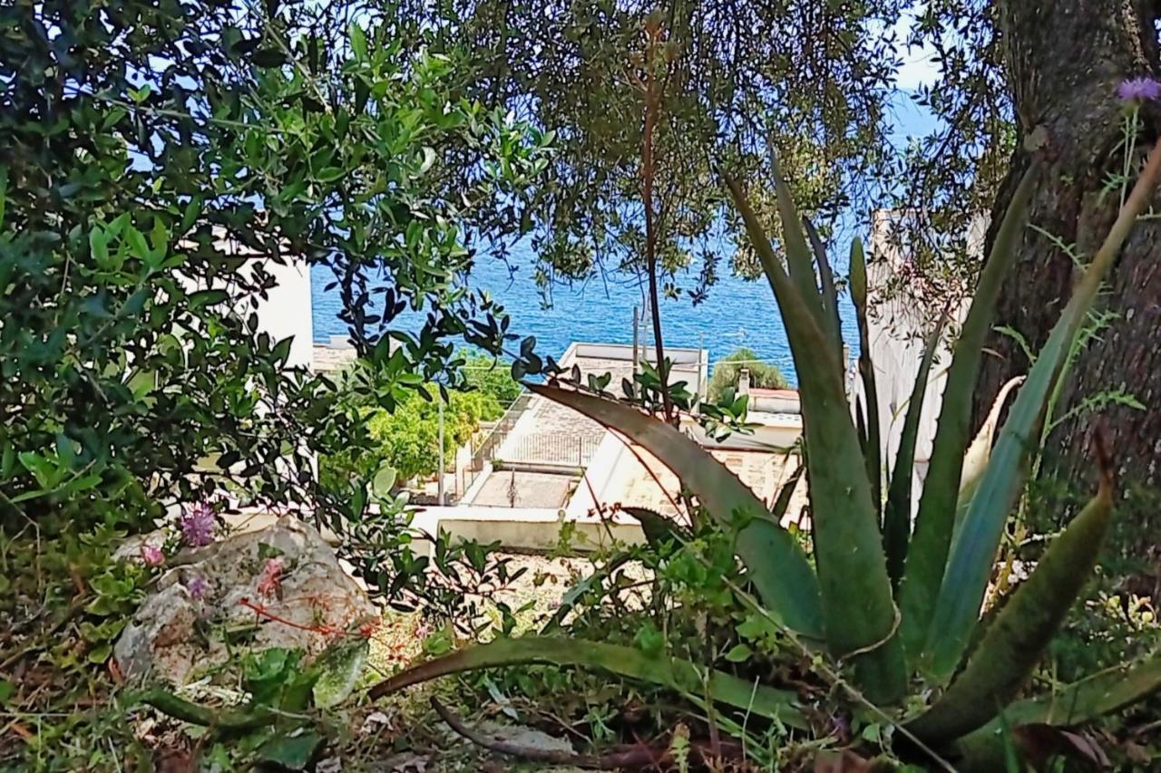 Marina Di Andrano - Alisso, Casa Vista Mare Con Parcheggio Privato E Wifi Villa Екстериор снимка